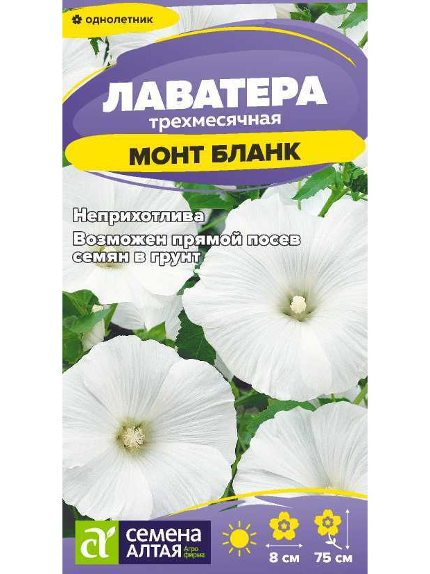Лаватера Монт бланк (СА) ц/п