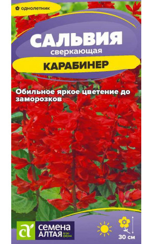 Сальвия Карабинер Сверкающая (СА) ц/п