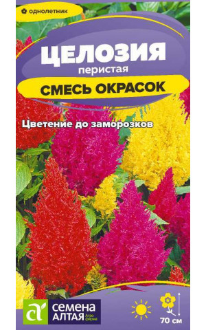 Целозия Перистая Смесь Окрасок (СА) цп