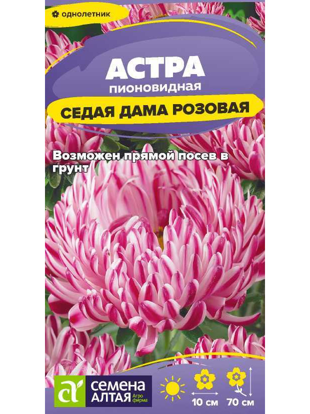 Астра Седая Дама Розовая (СА) ц/п