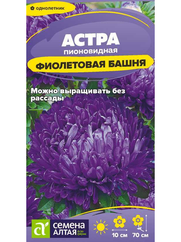 Астра Фиолетовая башня (СА)ц/п