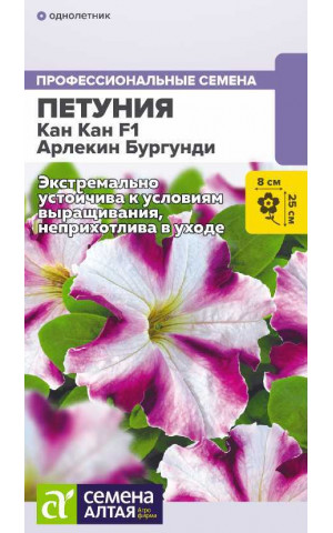 Петуния Кан Кан Арлекин Бургунди F1 (СА) цп