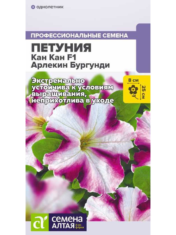 Петуния Кан Кан Арлекин Бургунди F1 (СА) цп