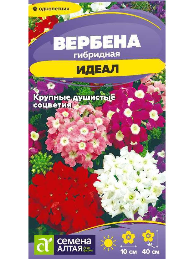 Вербена Идеал гибридная (СА) ц/п