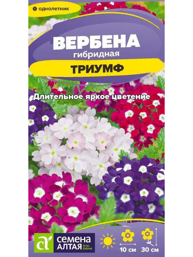 Вербена Триумф гибридная (СА) ц/п