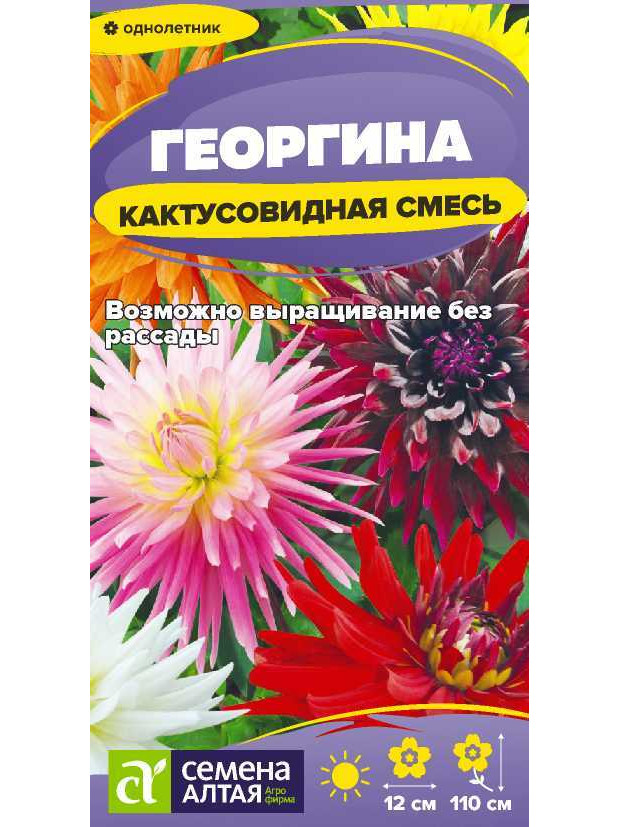Георгина Кактусовидная смесь (СА) ц/п