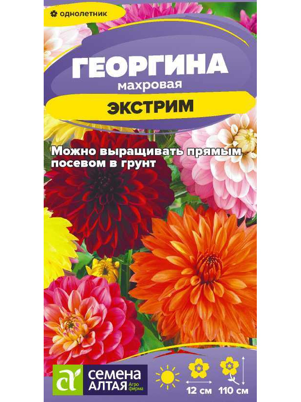 Георгина Экстрим (СА) ц/п