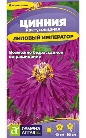 Цинния Лиловый Император кактус (СА) ц/п