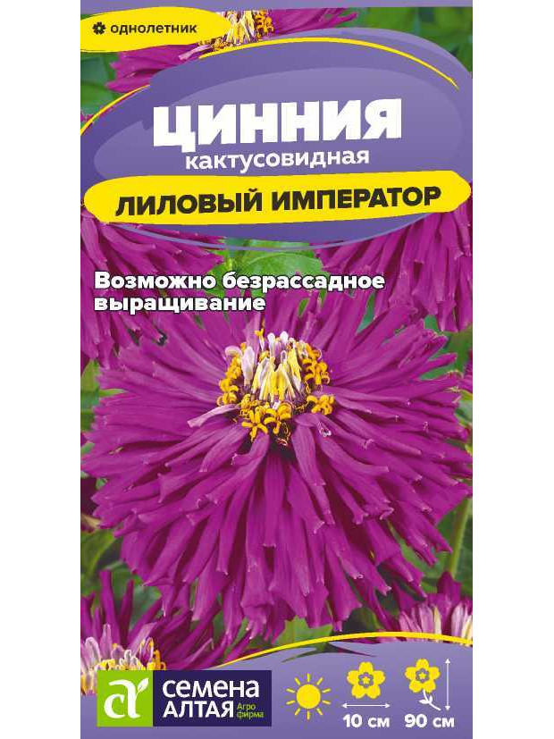 Цинния Лиловый Император кактус (СА) ц/п