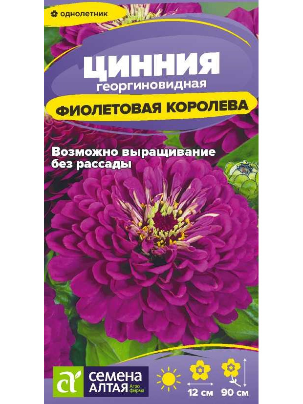 Цинния Фиолетовая Королева георгин. (СА) ц/п