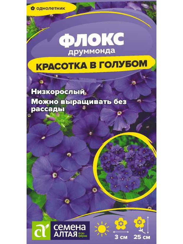 Флокс Красотка в голубом друммонда (СА) ц/п
