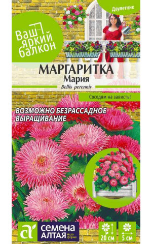Маргаритка Мария (СА) ц/п