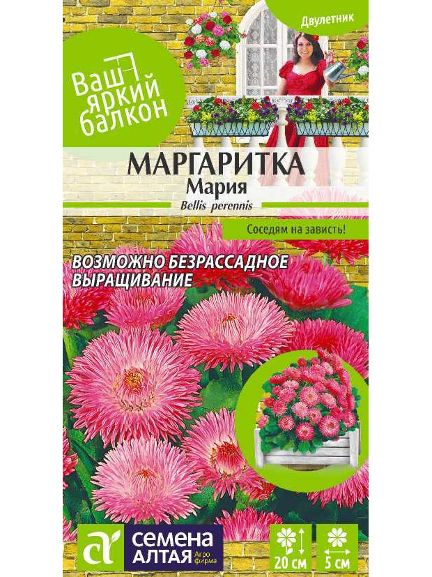 Маргаритка Мария (СА) ц/п