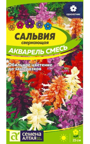 Сальвия Акварель (СА) ц/п