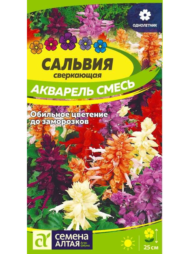 Сальвия Акварель (СА) ц/п