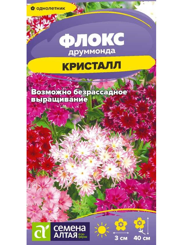 Флокс Кристал Друммонда (СА) ц/п