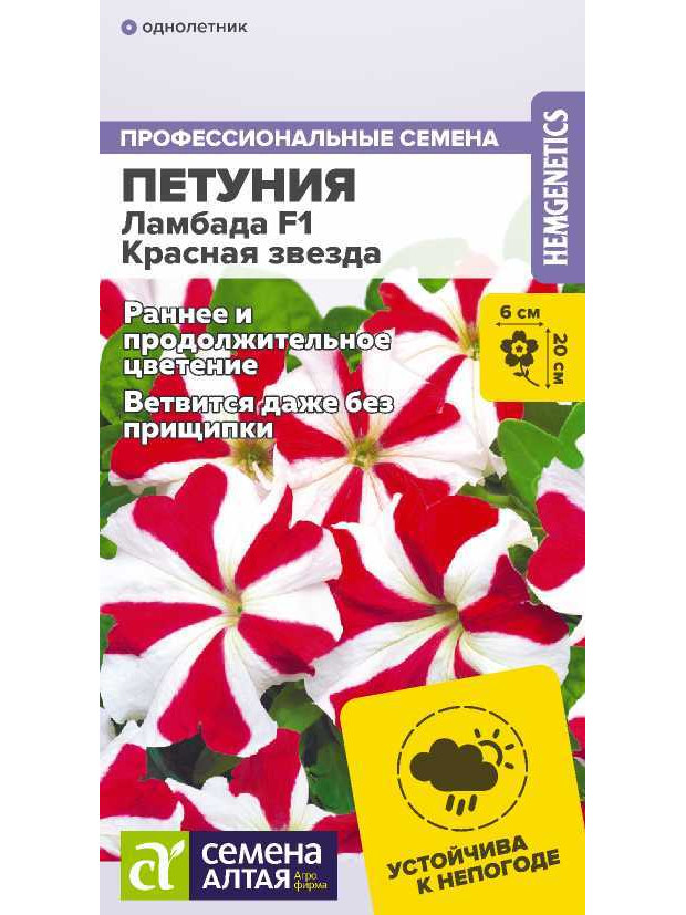Петуния Ламбада Красная Звезда F1 (СА) ц/п