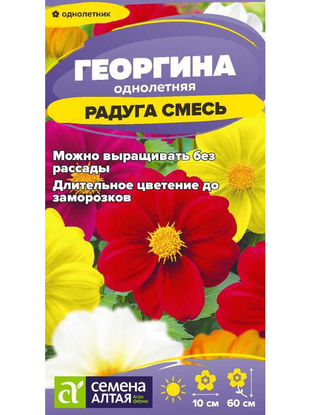 Георгина Радуга (СА) ц/п