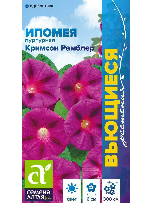 Ипомея Кримсон Рамблер (СА) ц/п
