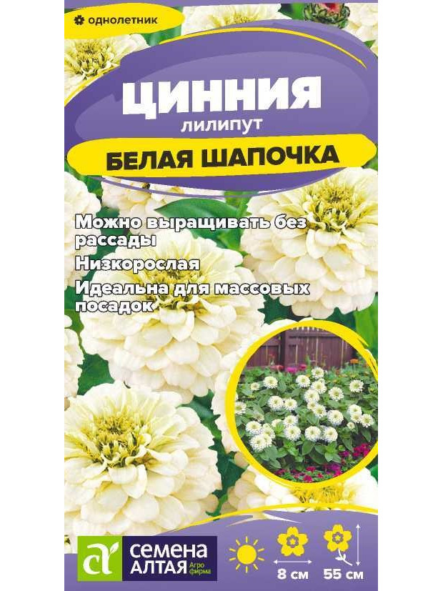Цинния Лилипут Белая шапочка (СА) цп