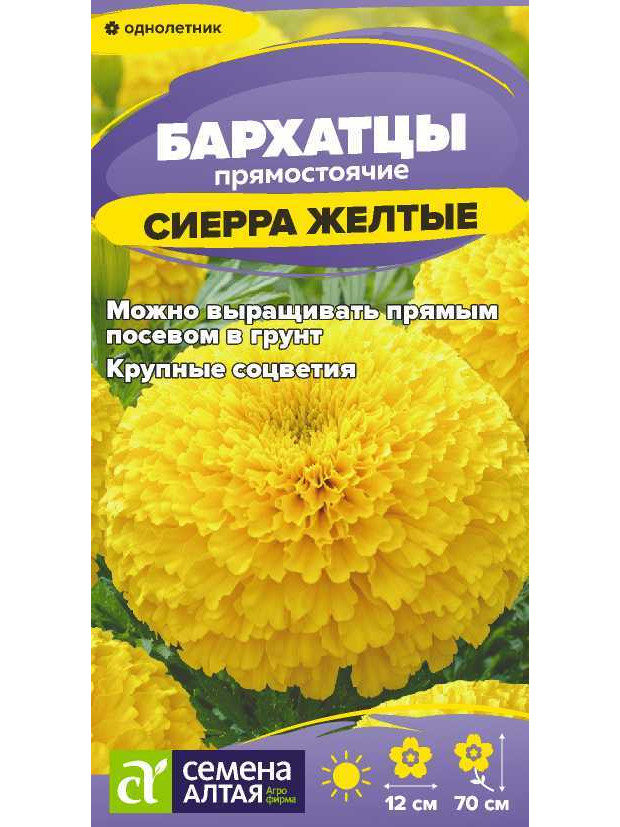Бархатцы Сиерра Желтые (СА) ц/п