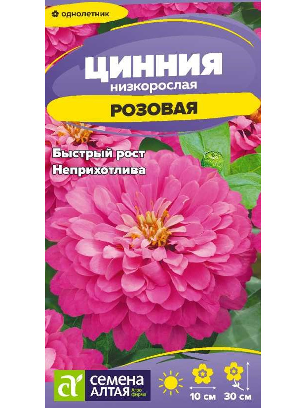 Цинния Низкорослая Розовая (СА) цп