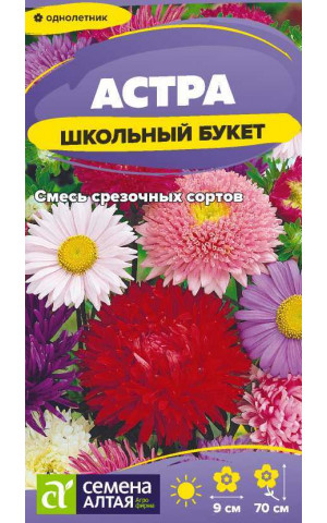 Астра Школьный букет смесь (СА) ц/п