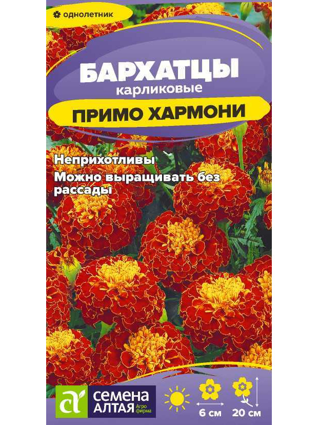 Бархатцы Примо Хармони карлик. (СА) цп