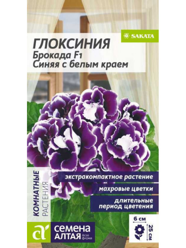 Глоксиния Брок.Синяя с белым краем (ком.) (СА) цп