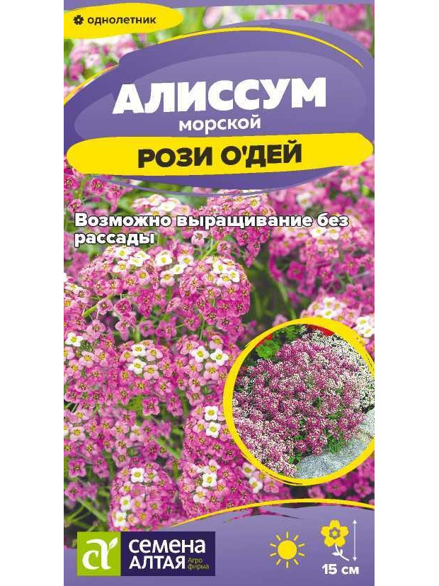 Алиссум Рози О`Дей (СА) ц/п