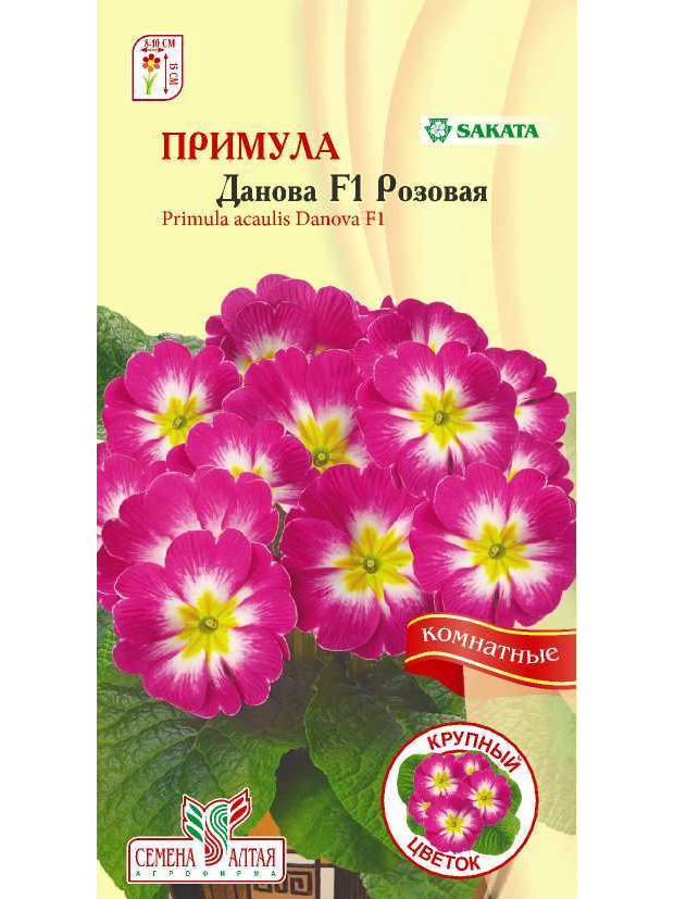 Примула Данова Розовая (комнат.) (СА) ц/п