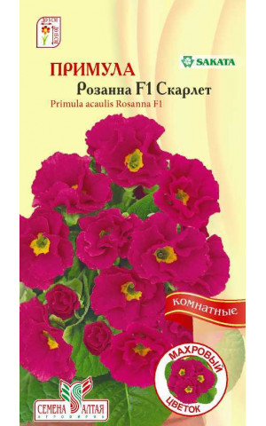 Примула Розанна Скарлет F1 (комн) (СА) ц/п