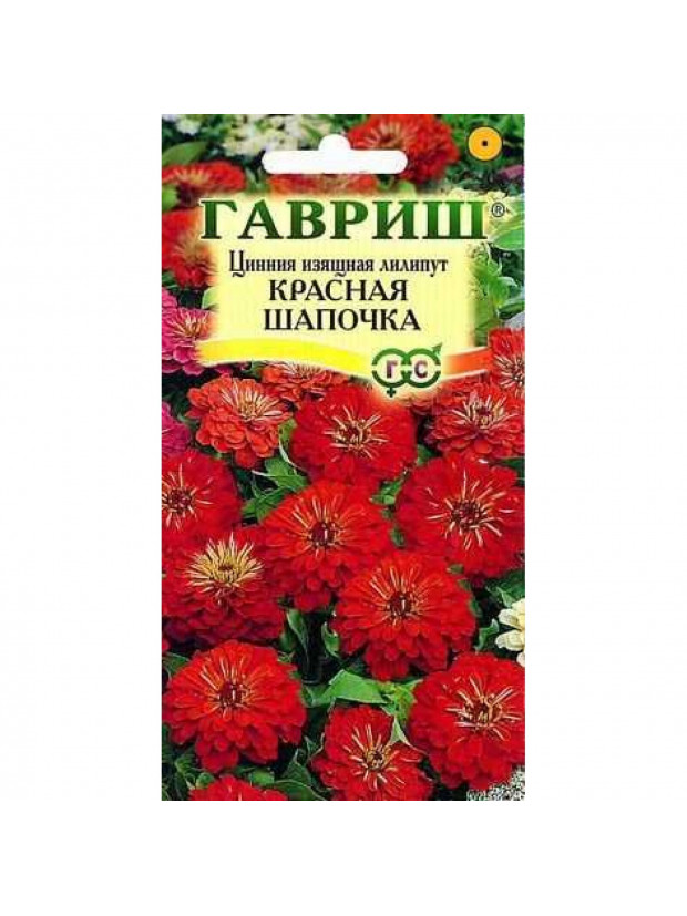 Цинния Красная шапочка лилипут (Гавриш) цв/п
