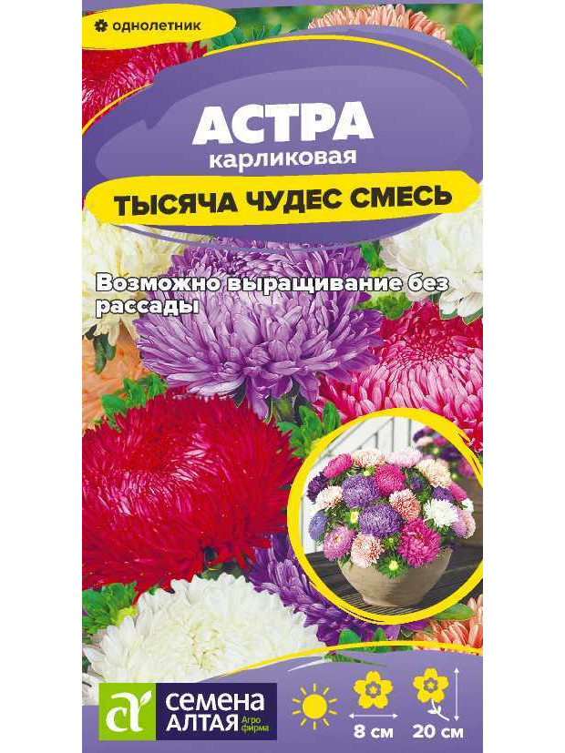 Астра Тысяча чудес смесь карлик (СА) ц/п