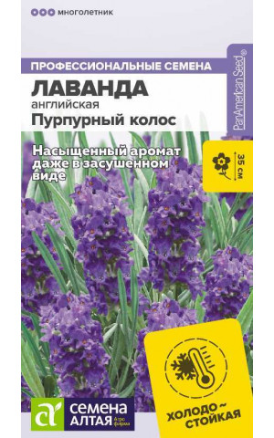 Лаванда Пурпурный колос узколист многолет. (СА) цп
