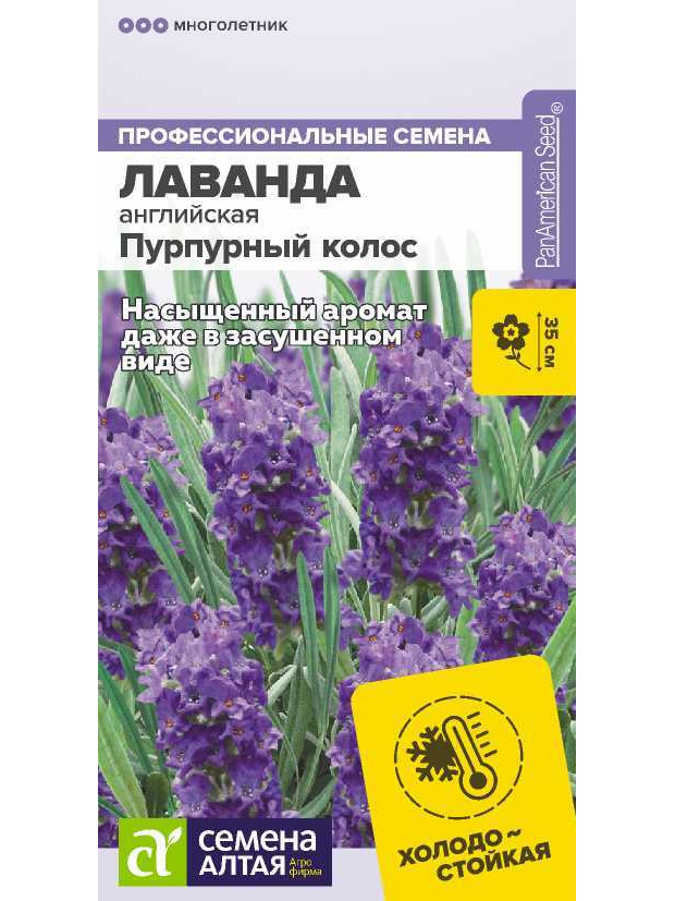 Лаванда Пурпурный колос узколист многолет. (СА) цп