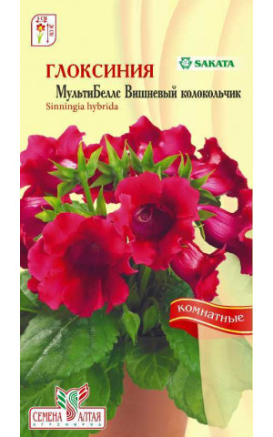 Глоксиния МультиБеллс Вишневый колокольчикF1(СА)цп