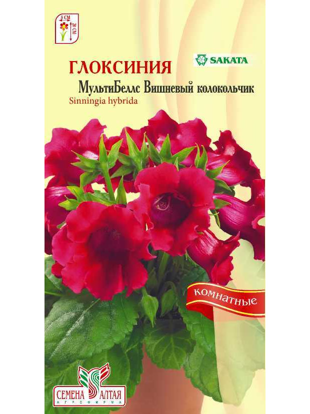 Глоксиния МультиБеллс Вишневый колокольчикF1(СА)цп