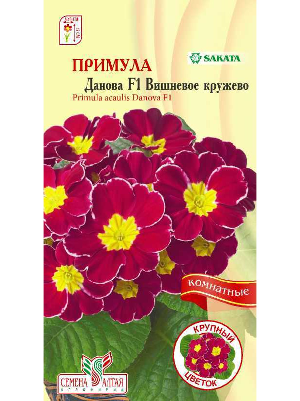 Примула Данова Вишневое кружево F1(комнат) (СА) цп
