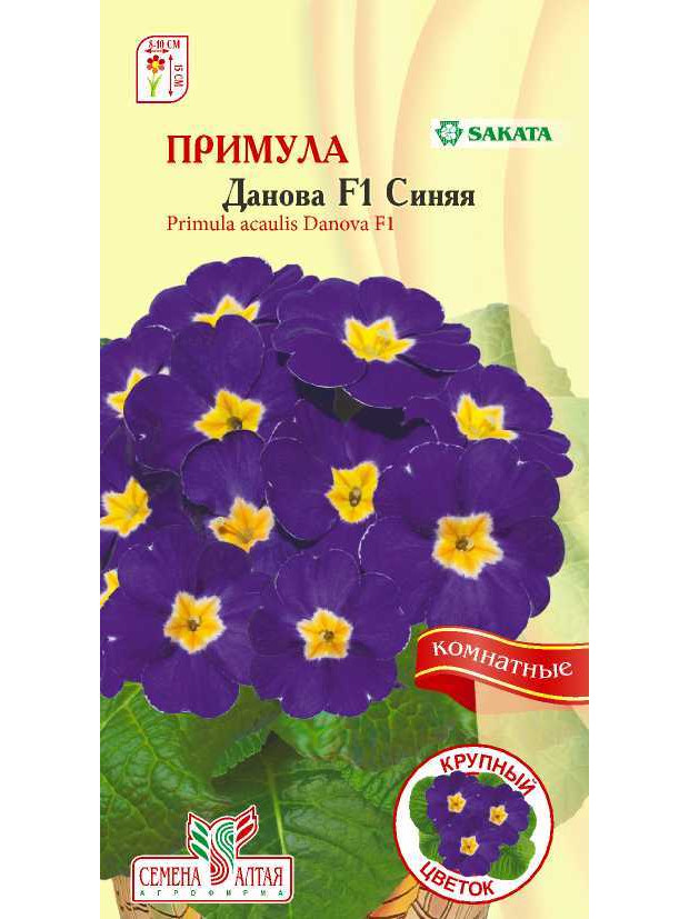 Примула Данова Синяя (комн) F1 (СА) ц/п