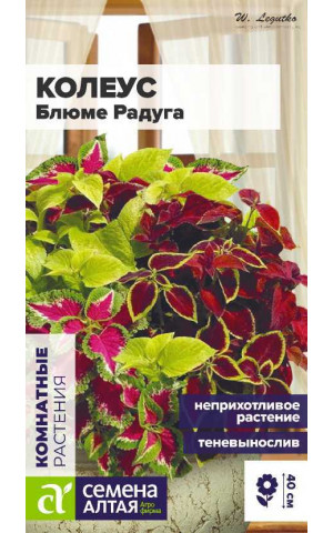 Колеус Блюме Радуга смесь (СА) ц/п