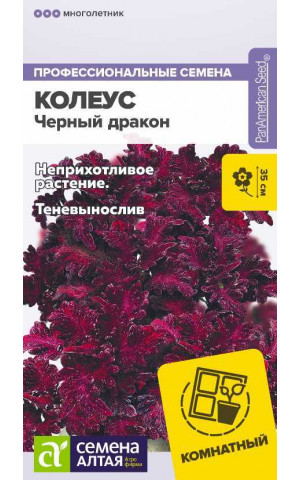 Колеус Черный дракон (СА)ц/п
