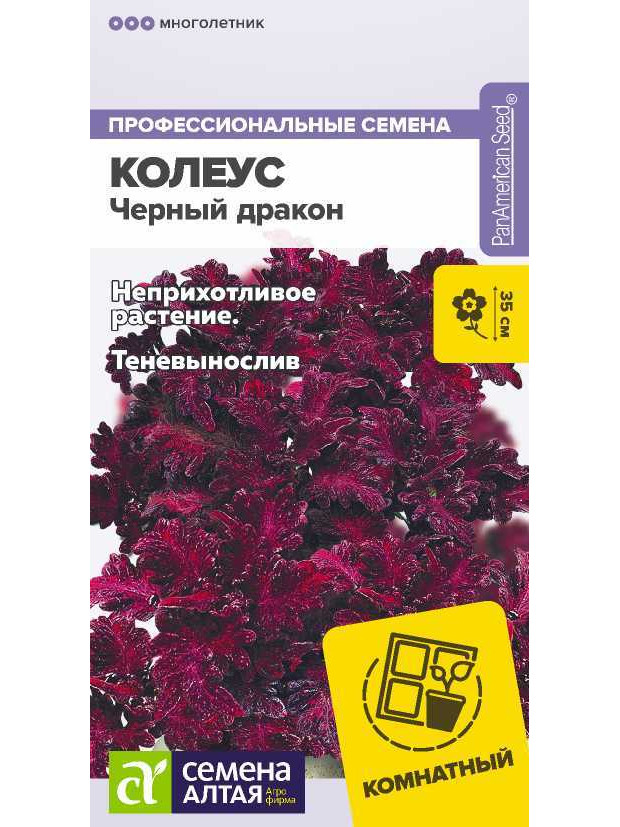 Колеус Черный дракон (СА)ц/п