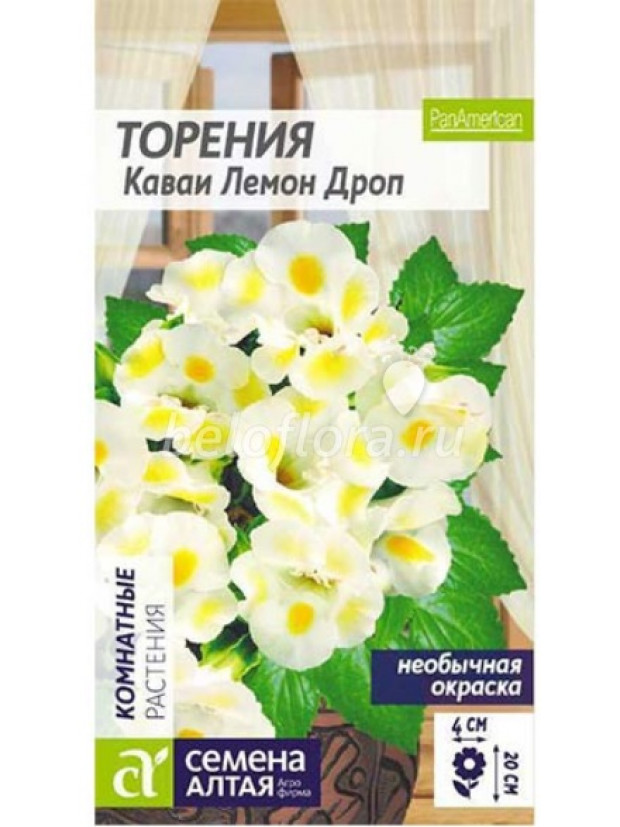 Торения Каваи Лемон Дроп комн.(СА) цп