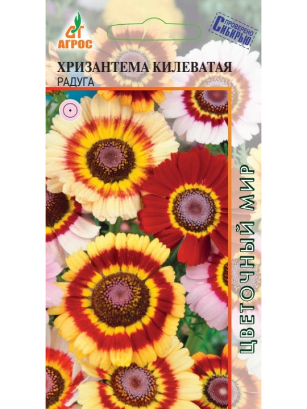 Хризантема Радуга (Агрос) цп
