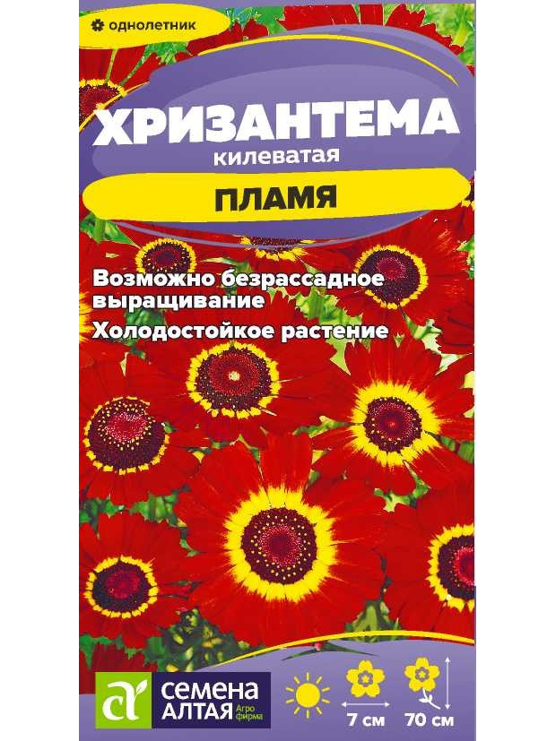 Хризантема Пламя килеватая (СА) ц/п