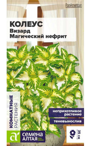 Колеус Визард Магический Нефрит (СА) ц/п