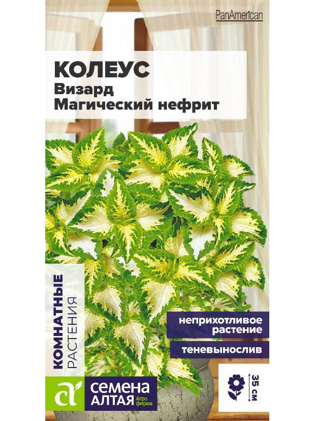 Колеус Визард Магический Нефрит (СА) ц/п