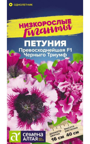 Петуния Превосходнейшая Черныго Триумф F1 (СА) цп