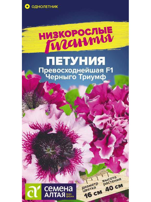 Петуния Превосходнейшая Черныго Триумф F1 (СА) цп